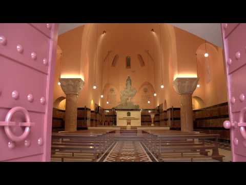 Vidéo: Notre-Dame du Mont Carmel - l'église carmélite de Whitefriar Street