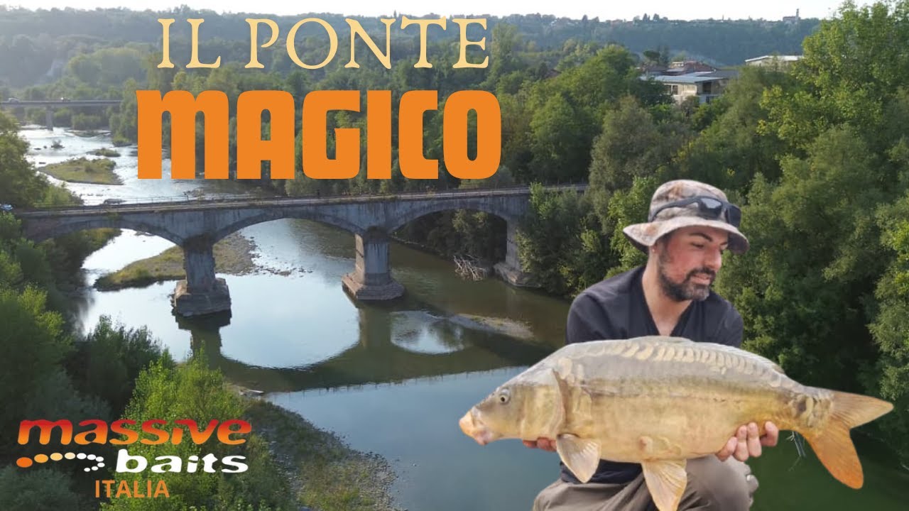 Carpfishing - Il Ponte Magico