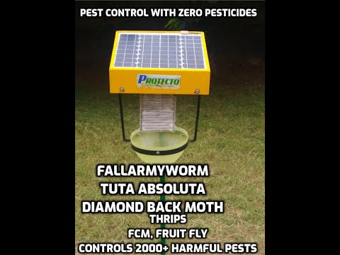 PROTECTO| SOLAR LIGHT INSECT TRAP| IPM| PEST CONTROL IN A VEGETABLE FARM| CROP PROTECTION|