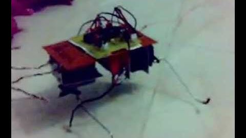 Crawling Bug Robot