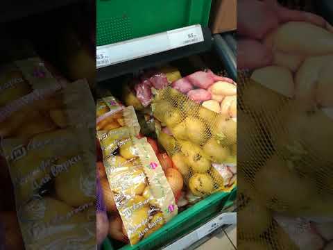 Бульба картофель из