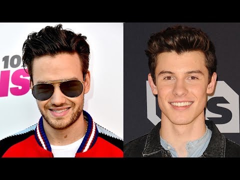 Liam Payne Trolled Shawn Mendes With THESE Photos - Is A Collab Coming?