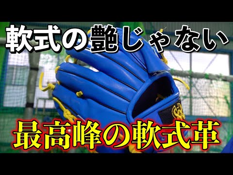 極美品 硬式 内野手用 フルオーダーグラブ カスタム品 キップレザー 極艶 野球 アイピーセレクト IpSelect 硬式グローブ グラブ キップ