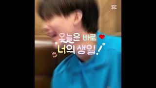 쫑쫑이 생일라이브 없는 쫑쫑이 생일은 처음이라...#정한 #세븐틴