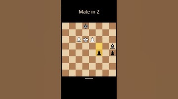 Can you solve this chess puzzle? Mate in 2