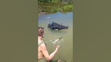 Great Survival Skills vid377