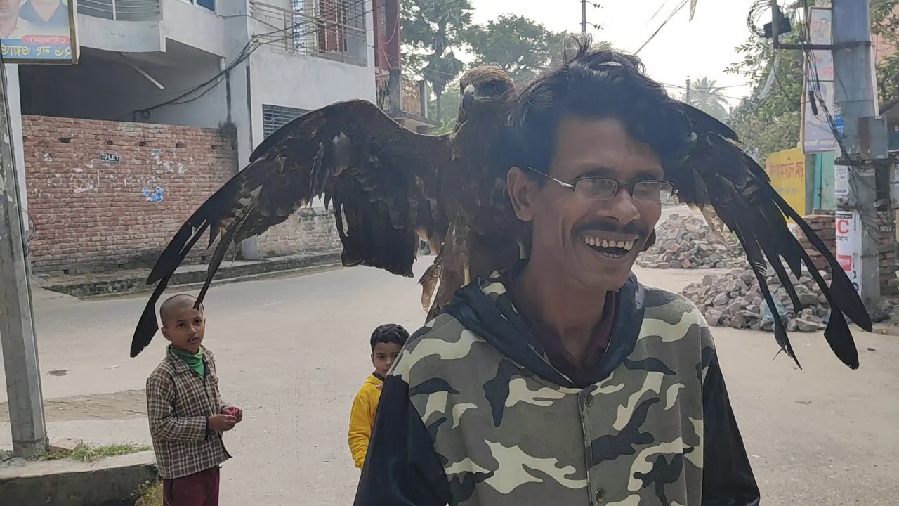 Bablu vi Khulna with Eagle pakhi 