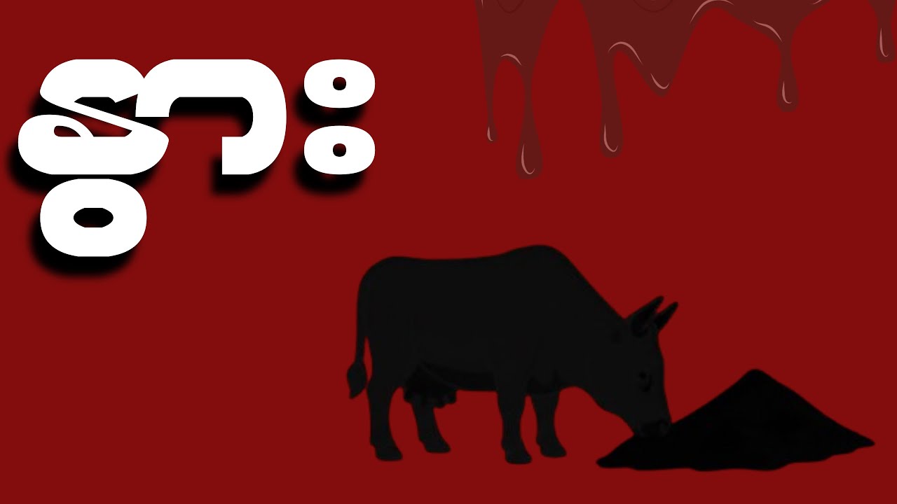 သင်နွားဖြစ်သောအခါ - 