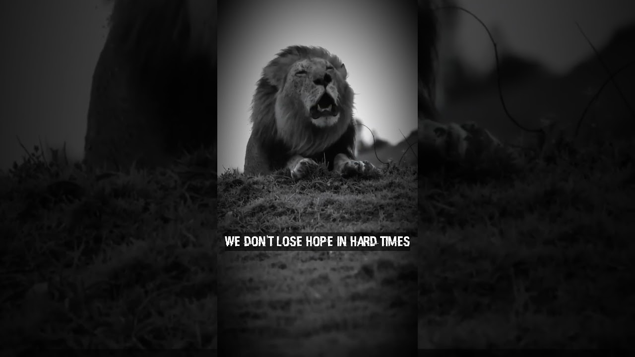 Don’t Wait For Opportunity — Create It!"