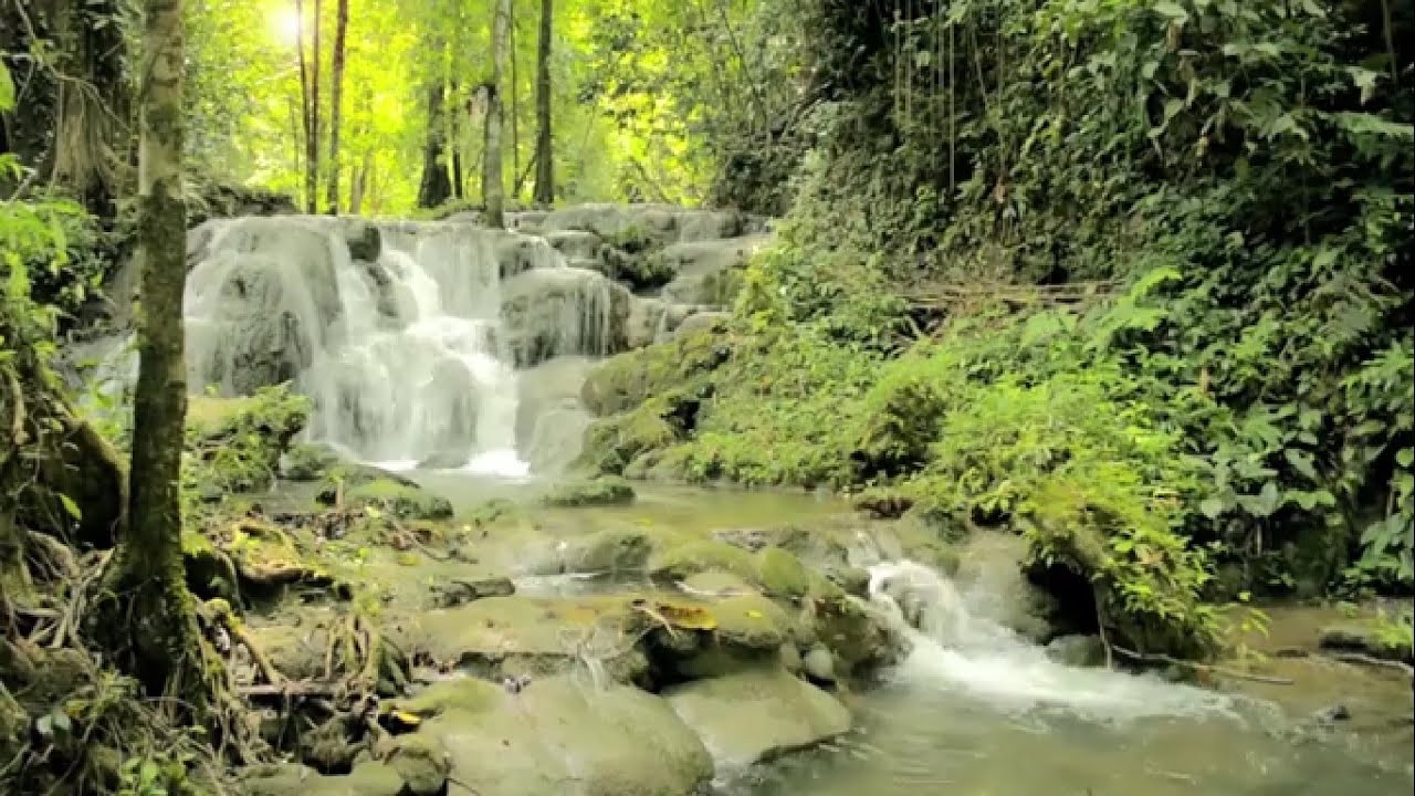 Musique de méditation, Forêt féérique - Meditation music, Fairy forest