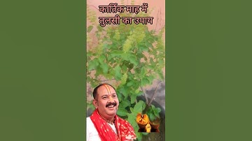7october,tuesday कार्तिक माह में तुलसी का उपाय#upay #pradeepmishra