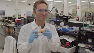 In the Lab Haunted by Contaminants