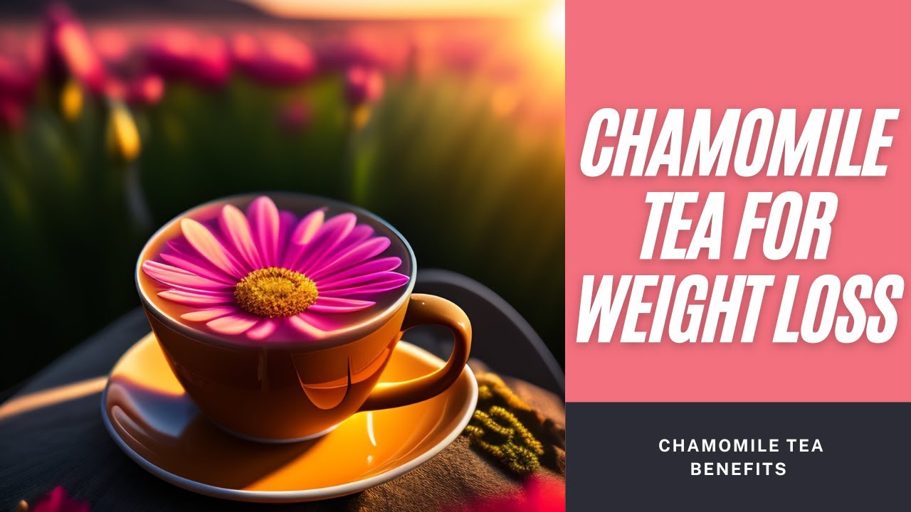 How Chamomile Tea Can Help You Lose Weight Chamomile Tea for Weight