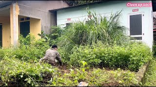 Clean and restore abandoned public toilets overgrown with weeds