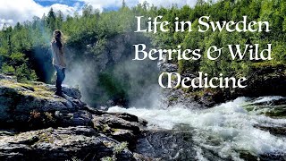 The gift of nature • life in northern sweden