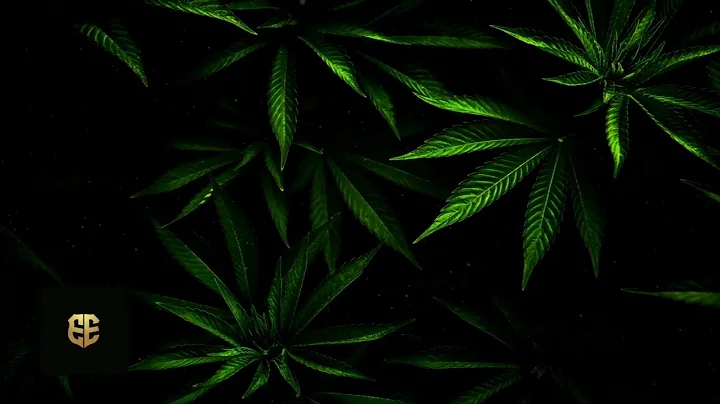 Drake - Hold On We’re Going Home (Extended Reggae Remix)