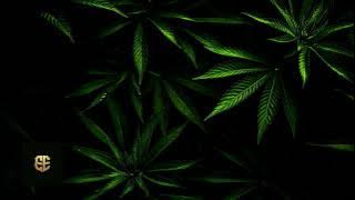 Drake - Hold On We’re Going Home (Extended Reggae Remix)