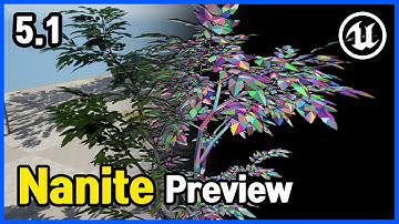 5.1 Nanite Preview | UE5