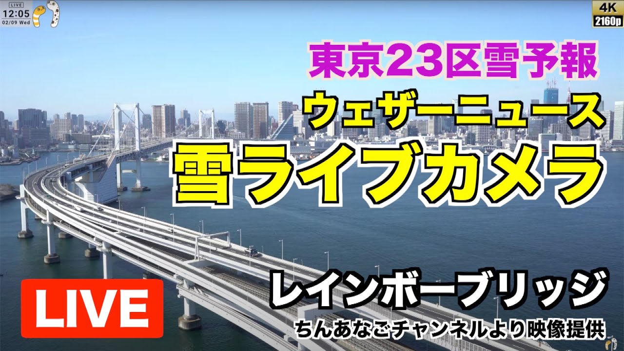 東京大雪予想 レインボーブリッジ ライブカメラ 都内の積雪状況を確認 ちんあなごチャンネルより映像提供 Youtube 東京大雪予想 レインボーブリッジ ライブカメラ 都内の積雪状況を確認 ちんあなごチャンネルより映像提供 Youtube