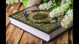 القرآن الكريم - سورة النور - الشيخ ياسر سلامة