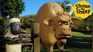 Shaun the Sheep 🐑 The Bull - Cartoons for Kids 🐑 Full Episodes Compilation [1 hour]