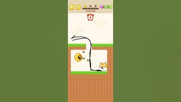 Max Level Save The Dog - Dog Escape Game  All Levels New UPdate Android,ios  Shorts # 64