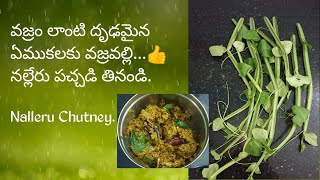 నల్లేరు పచ్చడి || Nalleru Pachadi in Telugu || Kadamba Mala