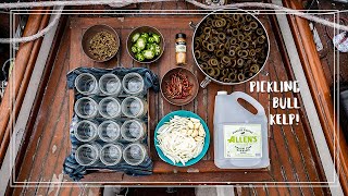 Wild Foraging: Pickling Bull Kelp (on a sailboat) | The Wayward Life