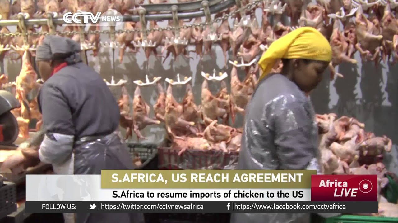 South Africa to resume imports of chicken from America