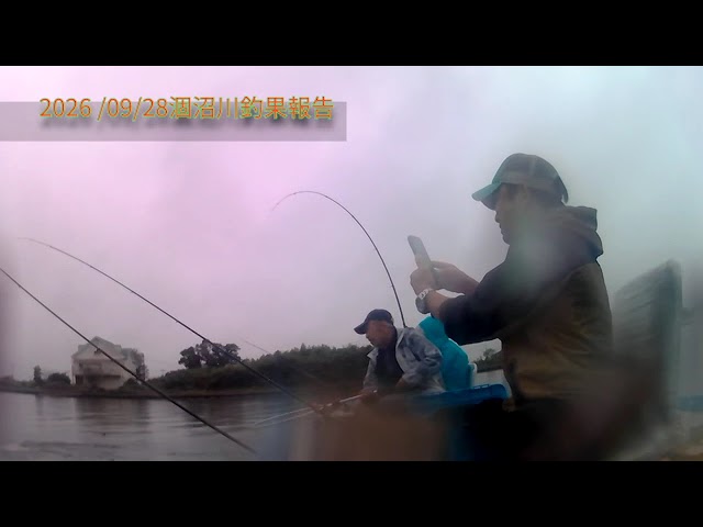 2026/09/28涸沼川釣果報告TeamAKS