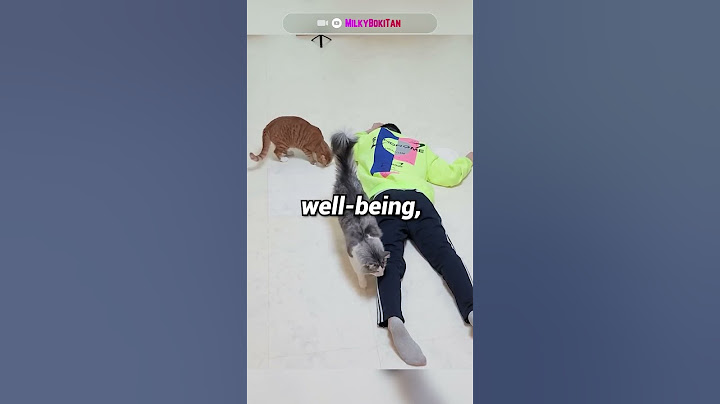 Testing Loyalty of the: Cat VS Dog #shorts