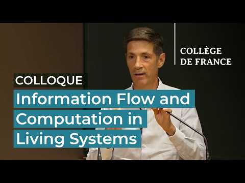 Information Flow and Computation in Living Systems (10) - Thomas Lecuit (2025-2026)