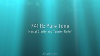 741Hz Pure Tone - Mental Clarity and Tension Relief - 1 Hour by JRESHOW 247 views 3 months ago 1 hour