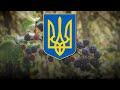 Маруся Marusya Ukrainian Folk Song 