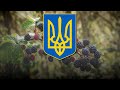  marusya  ukrainian folk song