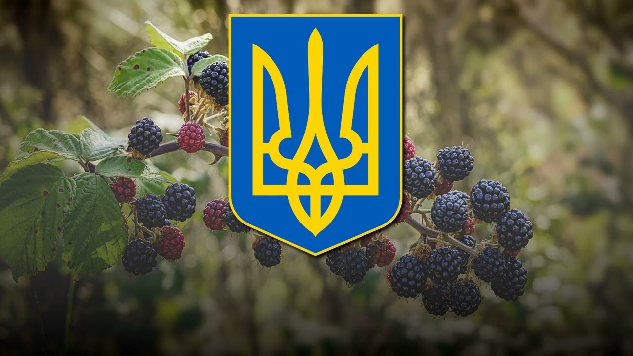 "Маруся" ("Marusya") - Ukrainian Folk Song