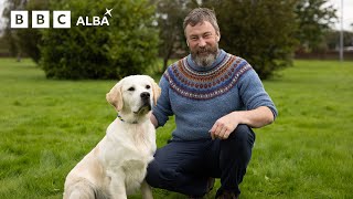 The Origin Of The Den Retriever Cù Leis Thu? Pàdruig To The Rescue Bbc Alba