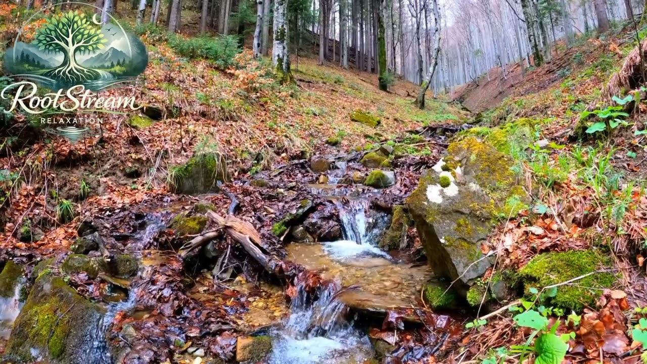 30-Minute Peaceful River Sounds with Native Flute Music | Relax & Unwind