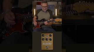 Amazing Echo Sounds with the Strymon Olivera