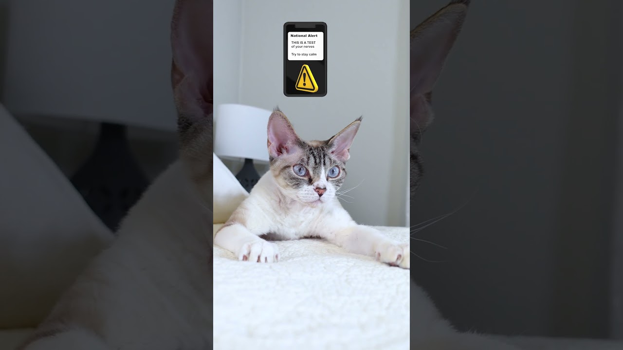 Reaction to Emergency Alert System Test 