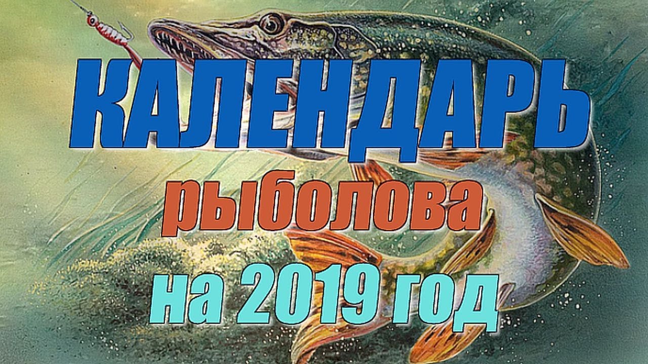 Календарь рыбака волга