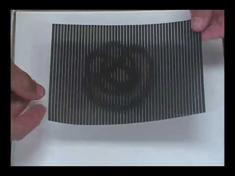Animated Optical Illusion!
