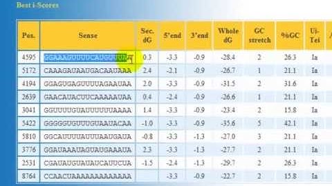 Design effective siRNA ง่ายๆ-10 นาที