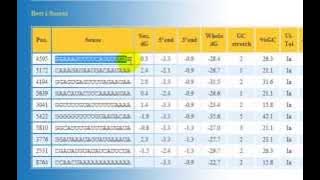 Design effective siRNA ง่ายๆ-10 นาที
