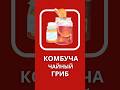 комбуча(чайный гриб) | #здоровье #зож #пп #комбуча #iherb #айхерб