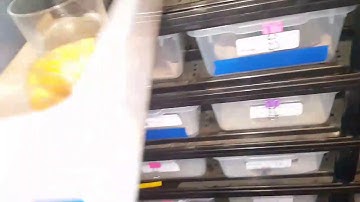 Warning! Warning! Feeding video