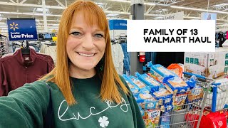 FAMILY OF 13 WALMART HAUL