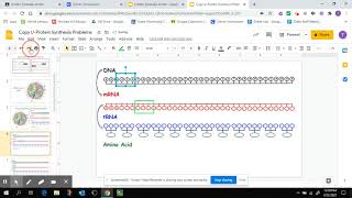 Protein Synthesis Practice Problems Part 1: Transcription