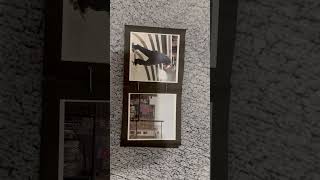 IMG 3390