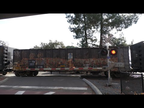 UP 9910 Rocklin Rocket local, Watt/Manlove Station BRT Lane Entrance Railroad Crossing Sacramento CA